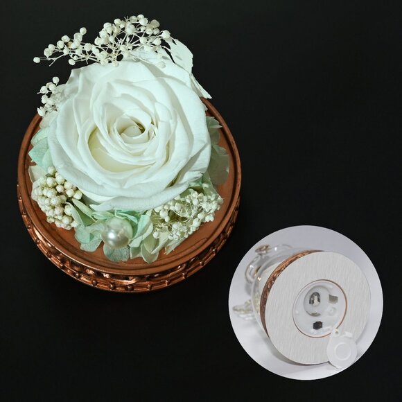 Real Preserved Rose Guardian Angel Glass Dome Copper Plated Base with LED Light - Picture 12 of 13